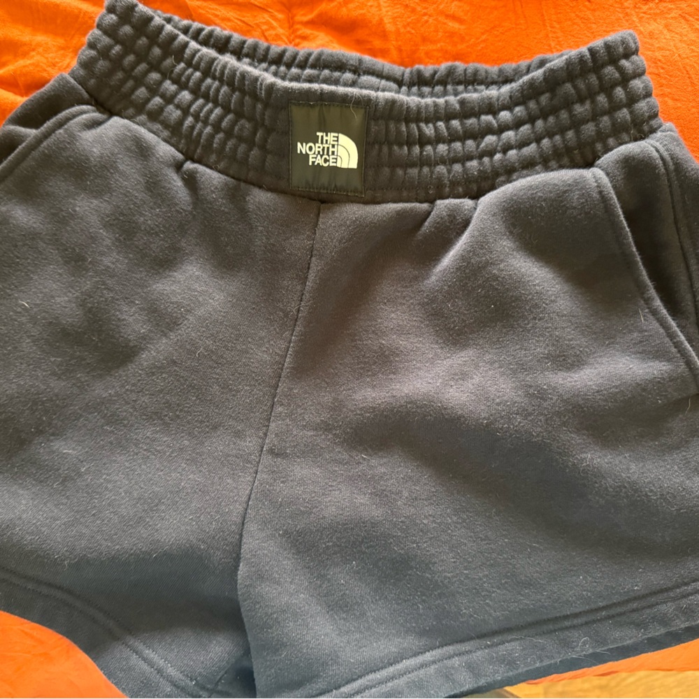 The North Face Charcoal Gray Women's Shorts